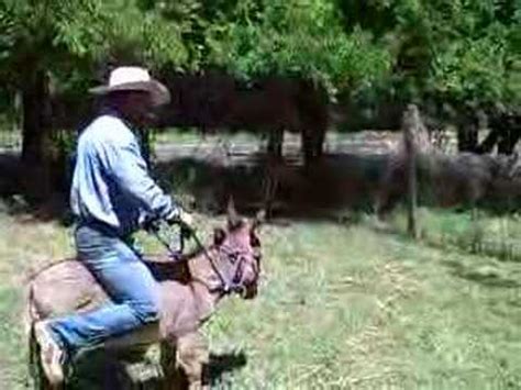 I can never take charge because i feel awkward. How We Do It On The Ranch - YouTube