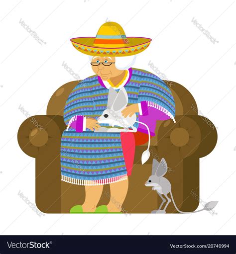 Mexican Grandmother And Jerboa A Pet Old Woman Vector Image