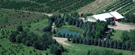 Check spelling or type a new query. Cut Your Own Christmas Trees in Lakeville and Elko, MN