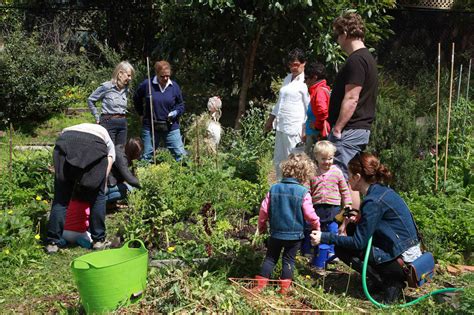 How Community Gardens Help And Even Hurt