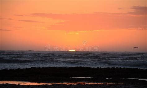 Sunset Seascape Western Australia Stock Photo Image Of Western