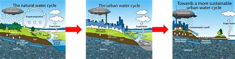 stormwater diagram cycle