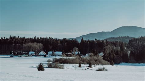 Download Wallpaper 1920x1080 Winter Snow Landscape