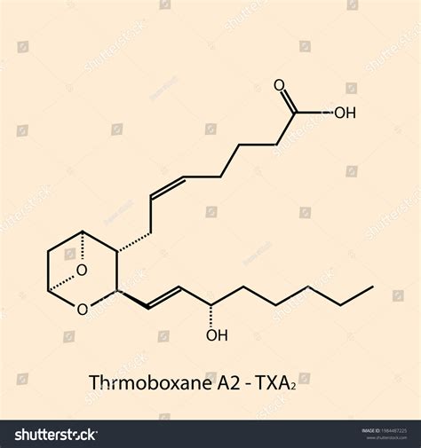 Thromboxane A2 Thromboxane Biomolecule Molecular Formula Stock Vector