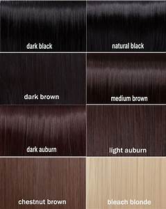 Like Dark Hair Then You 39 Ll Love This Hair Dye Ideas For Dark Hair