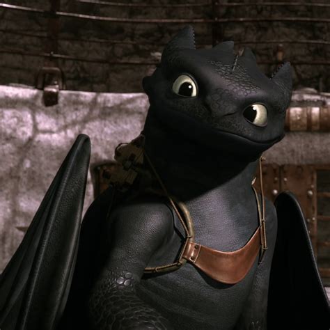 Toothless - DreamWorks Dragons: Riders of Berk Photo (33658060) - Fanpop
