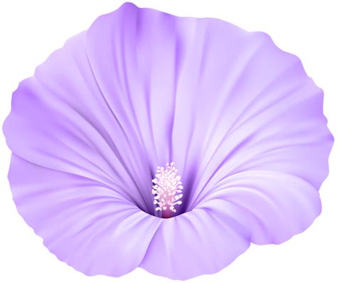 Violet Flower Transparent Png Clip Art Gallery