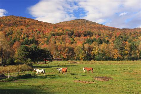 Horse Farm Vermont Green Mountains Photograph By John Burk Fine Art