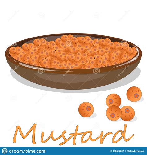 Collection Of Mustard Vector Illustrations Mustard Seeds