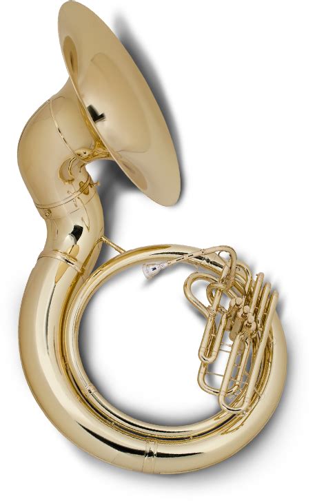 Emily Manger Was Born At Charity Hospital In The Aftermath Sousaphone