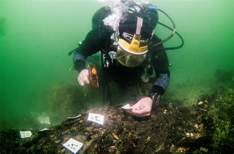 Stone Age Boat Building Site Discovered Underwater National