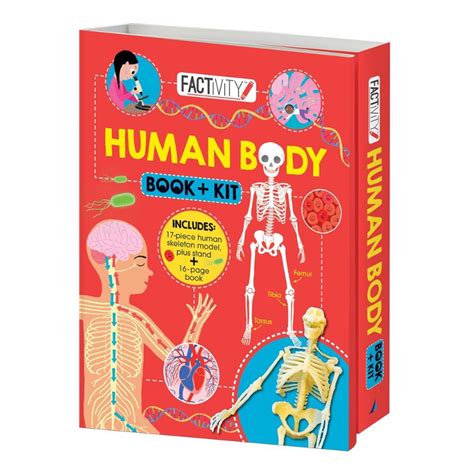 Human Body Book And Kit Boxset With Skeleton Model And Book For Kids To