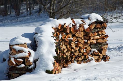 무료 이미지 나무 눈 겨울 날씨 시즌 2144x1424 37266 무료 이미지 PxHere