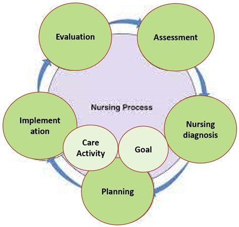 🎉 Nursing Assessment Diagnosis Planning Implementation Evaluation Week