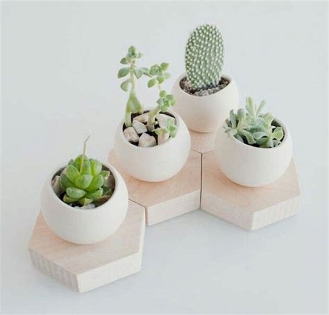 Cool Selecting A Pots Or Planter For Succulents