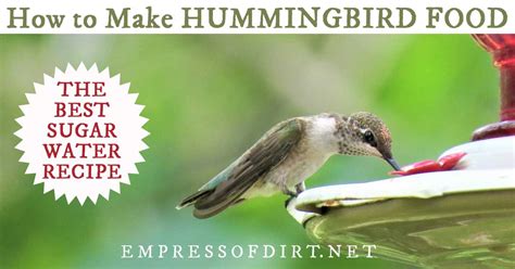 The easiest way to make hummingbird food is to put 4 cups of water on the stove and bring to a boil. Hummingbird Food Recipe No Boil | Besto Blog