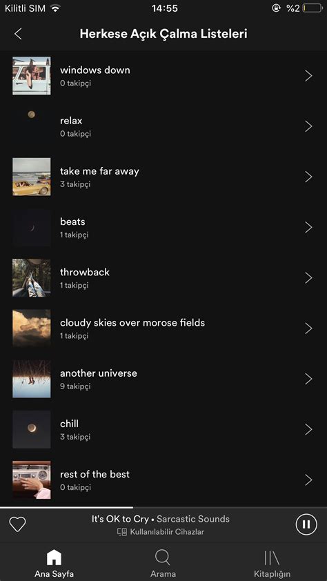 Aesthetic Indie Aesthetic Spotify Playlist Names