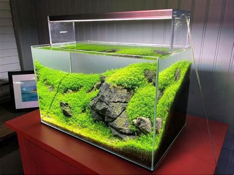 Simple Nano Planted Tank Iwagumi Style Layout Ideas For Beginner All