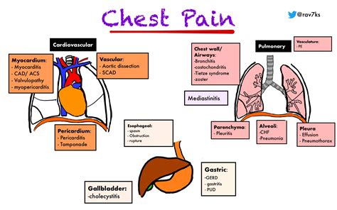 Chest Pain Differential Diagnosis • Cardiovascular Grepmed