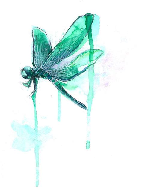 Watercolor Dragonfly Watercolor Dragonfly Dragonfly Painting