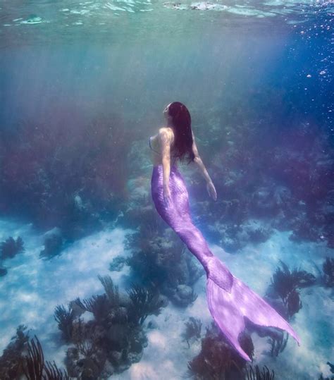 1028 Likes 4 Comments Mermaids Are Real Sirenalia On Instagram “each And Every Mermaid
