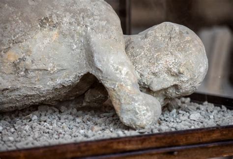 Frozen In Time The Citizens Of Pompeii Fossilized By Volcanic Ash