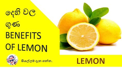 Benefits Of Lemon වැල් දෙහි වල ගුණ Dehi Wala Guna Youtube