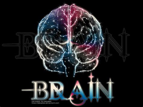 Brain Hd Wallpaper Biological Science Picture Directory