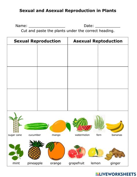 Sexual And Asexual Reproduction In Plants Interactive Worksheet Live