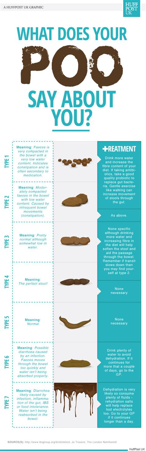 What Your Poo Says About Your Health Infographic Reveals What The Perfect Stool Looks Like