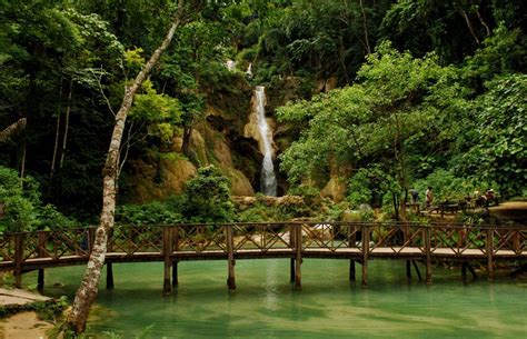 An Enchanted Forest In Laos Long Story Within Photo And Image Asia