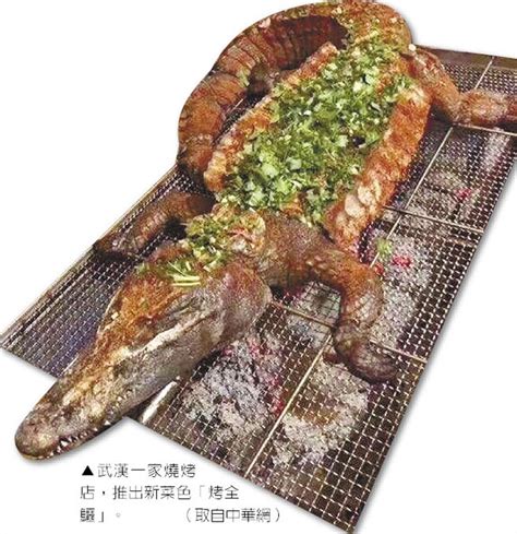 10 points11 points12 points submitted 2 months ago by lx881219. 燒烤餐廳搞噱頭 整隻鱷魚端上桌 - 中時電子報