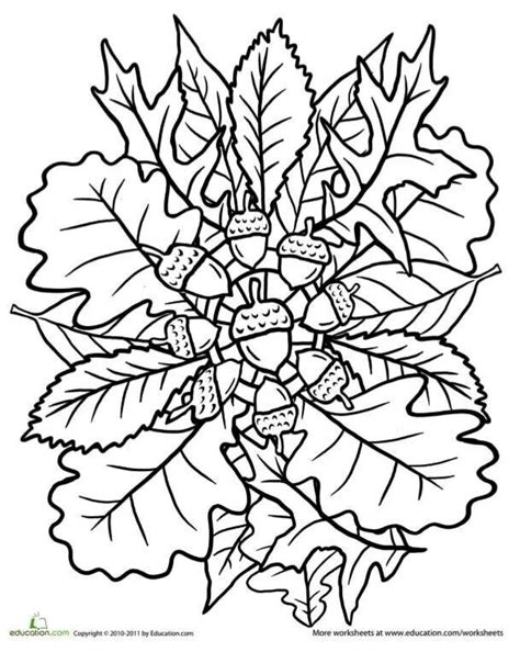 40+ autumn leaves coloring pages for printing and coloring. 297 best Coloring: Autumn & Thanksgiving images on ...