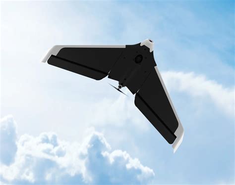 Parrot Disco Les Informations Et Le Live