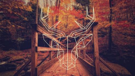 Hipster wallpapers desktop background excitelt hipster wallpapers in hd wallpapercrazy 1280×852. fall, Deer, Polygon art, Hipster Photography, Simple ...