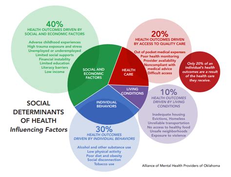 Infographic Social Determinants Of Health Influencing Factors