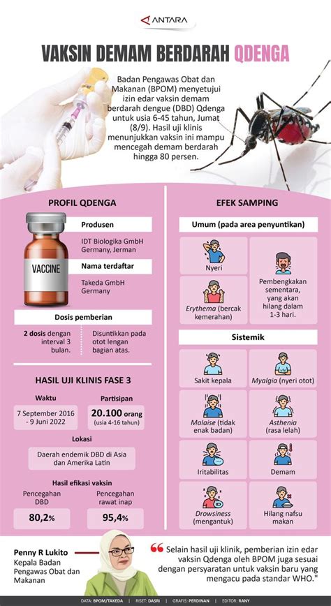 Vaksin Demam Berdarah Qdenga Infografik Antara News Ims Center