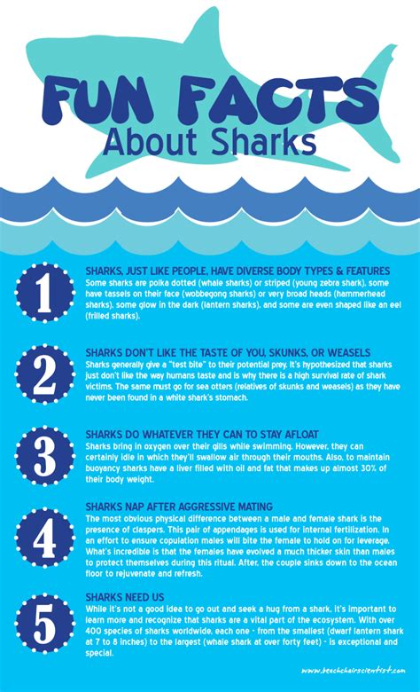 Fun Facts About Sharks Infographic Facts