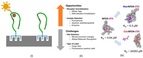 Toxins Free Full Text Molecular Modeling And Simulation Tools In