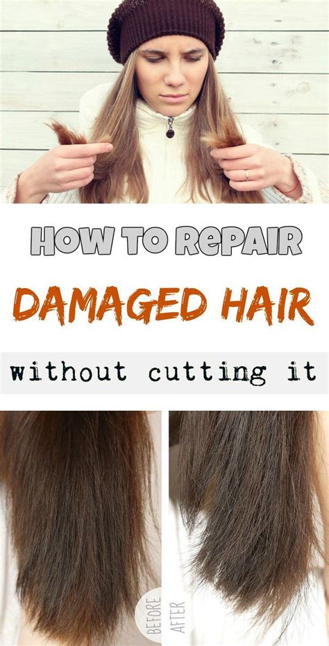 Beautiful Diy Hair Treatments For Damaged Hair On A Budget Damaged