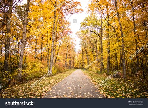 Fall Pathway Stock Photo 729065689 Shutterstock
