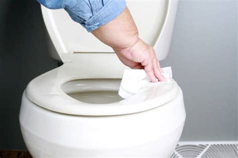 Clean Toilet Seat