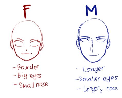 Simple Anime Anatomy For Female And Male Drawing Tips Anime Drawings