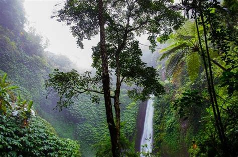 Waterfall Pictures Of The Amazon Rainforest Kopler Mambu