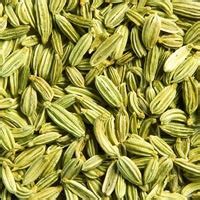 Fennel seeds or saunf is easily available in any indian kitchen. Fennel Seeds in Tamil Nadu - Manufacturers and Suppliers India