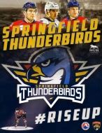 Springfield Thunderbirds hockey team statistics and history at hockeydb.com