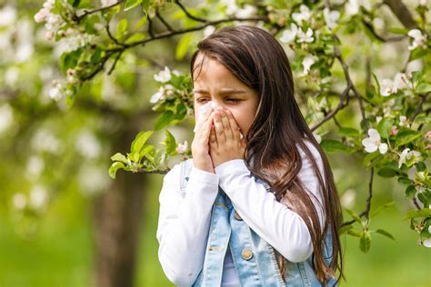 Allergies In Kids Common Types And Treatments Mirada Tampa Bay