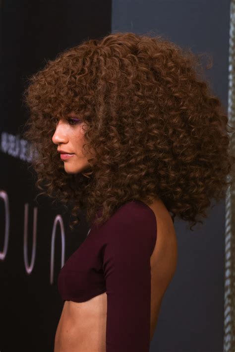 Details More Than 78 Zendaya Curly Hair Super Hot Ineteachers