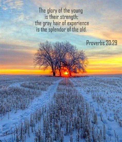 Proverbs 20:29 nlt | Scripture pictures, Verses about beauty