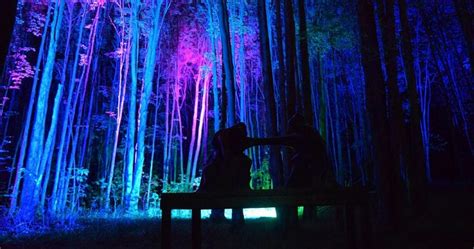 Night Lights At Griffis Sculpture Park Sitlerhq